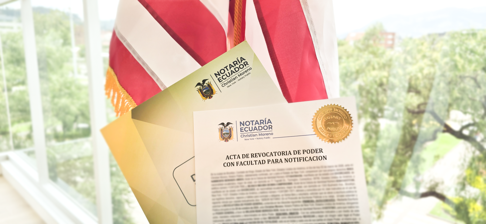 Revocatorias de Mandato Portada